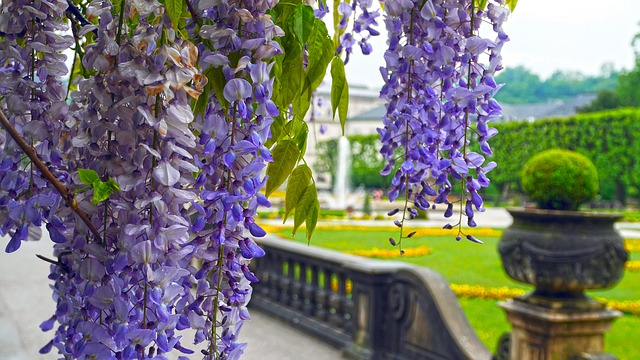 Salzburg Park