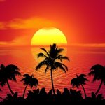 Tropical Vacation