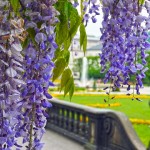 Salzburg Park