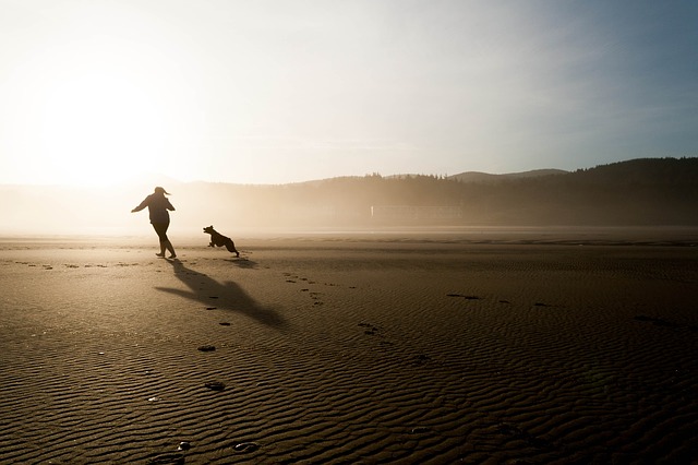 Vacation with pets