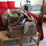 Travel baggage